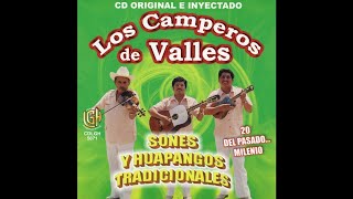 Los Camperos de Valles  La Presumida [upl. by Llevron731]