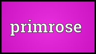 Primrose Meaning [upl. by Horsey]