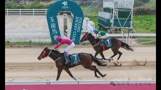 20240928 IRT Cup ChineseBred TB 2YO CHOA Recognised Stallion Progeny Challenge 1000m Race 3 [upl. by Irrep]