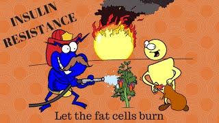 The low grade inflammation of insulin resistance [upl. by Bina885]