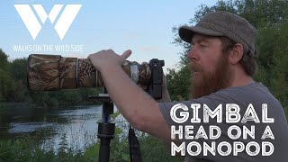 Gimbal Heads on Monopods for Wildlife Photography [upl. by Fredi999]