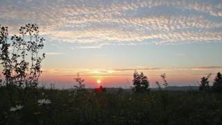 Summer Sunset With Crickets and Birds Singing  1 Hour [upl. by Rangel]