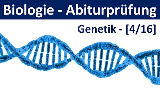 Biologie Abiturprüfung 2024  Aufgaben Genetik 22  Abitur Biologie 416 [upl. by Tsenrae453]