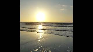 ostend beach 262024 oostende strand [upl. by Balduin361]