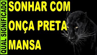 🔥 SONHAR COM ONÇA PRETA MANSA O QUE SIGNIFICA SONHAR COM ONÇA PRETA MANSA SONHAR COM ONÇA PRETA [upl. by Chill]