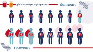 EFS  La compatibilite des groupes sanguins [upl. by Tierza]