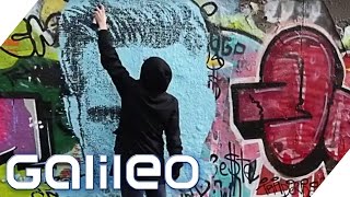 Mit dieser Spraydose wird jeder zum GraffitiKünstler  Galileo  ProSieben [upl. by Ahsiniuq]