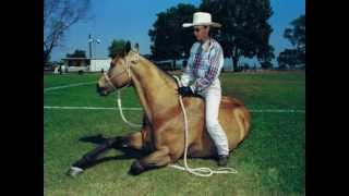 Geoff amp Vicki Toomby Working Dogs and Horses [upl. by Nalorac]