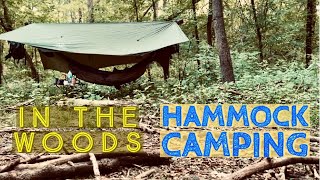 Hammock Camping in the Woods hammock hammockcamping camping [upl. by Michell]