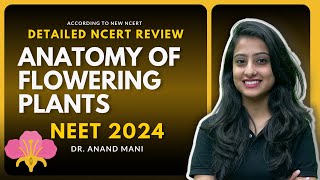 Anatomy of Flowering Plants  Detailed NCERT Review  NEET 2024  Dr Anand Mani [upl. by Eddina178]