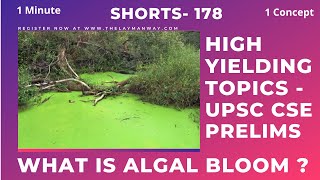 What is Algal Bloom  Explained for UPSC Prelims ias civilservices environment psc shorts [upl. by Connett]