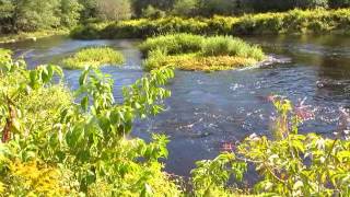 Sheepscot River Canoe Trip Below the Dam to the Bend [upl. by Neomah192]