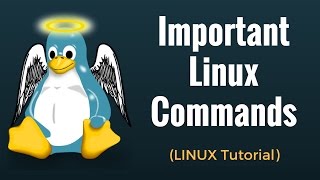 Important Linux Commands for Beginners Linux Tutorial [upl. by Janyte]