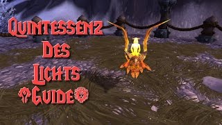 WoWGuide Quintessenz des Lichts Legendäres Haustier [upl. by Tierza]