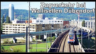 Zugverkehr zwischen Wallisellen und Dübendorf  Kanton Zürich Schweiz [upl. by Anastos]