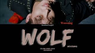 WooSung 김우성  WOLF Colour Coded Lyrics HanRomEng [upl. by Cilka]