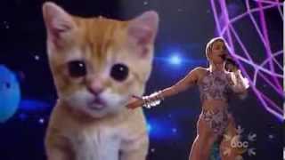 Miley Cyrus  Wrecking Ball American Music Awards 2013 [upl. by Esorlatsyrc]