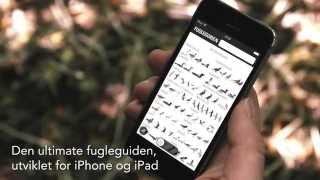 Gyldendals Store Fugleguide Trailer 2 Norsk [upl. by Lauder256]