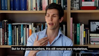 Fields Medal winner James Maynard in conversation [upl. by Olegnaleahcim]