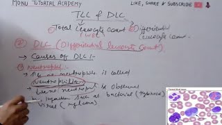 tlc and dlc  total leukocyte count  differential leukocyte count [upl. by Solon422]