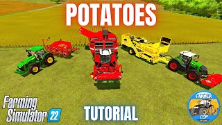 HOW TO GROW POTATOES  Farming Simulator 22 [upl. by Millman90]