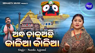 Andha Dakuachi Kalia Kalia  Emotional Jagannatha Bhajan  Namita Agrawal  ଅନ୍ଧ ଡାକୁଅଛି କାଳିଆ କାଳିଆ [upl. by Ivanah]