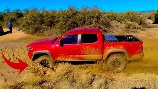 OffRoad Challenge  TRD Vs SR5 Tacoma [upl. by Goodrich]