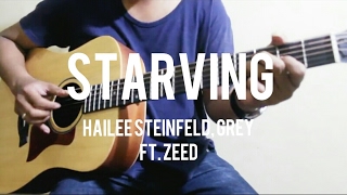 Starving  Hailee Steinfeld Grey ft Zedd Guitar [upl. by Anerahs]