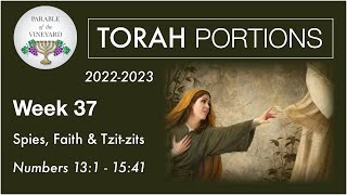 Torah Portions  Week 37  Spies Faith amp Tzitzit  Numbers 13  15 20222023 [upl. by Aldarcy570]