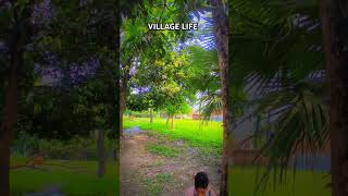 shorts shortvideo villagelife village villagelifestyle villagevlog gaonmein shorts minivlog [upl. by Alimhaj]