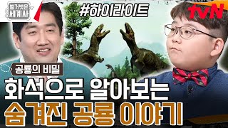 공룡은 새의 조상이다 화석으로 푸는 지구상 최강의 지배자 공룡의 비밀 highlight 벌거벗은세계사 EP151 [upl. by Aicak]