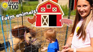 Farm Animals  Learn About Farm Animals for Kids  Farm Animals for Toddlers  Chickens Goats Horses [upl. by Inesita]