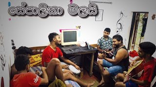 සෙපාලිකා මලයිsepalika malaihashanhashan3918 viralvideo coversongs හවසක❤️‍🔥 [upl. by Barbey]