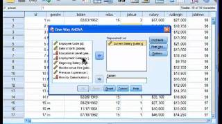 Oneway ANOVA  SPSS part 1 [upl. by Sherris926]