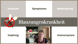 Blauzungenkrankheit  Ursache  Symptome  Behandlung  Impfung  Immunsystem  Fallbeispiel Schafe [upl. by Otanod]