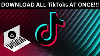 How to download all your TikTok videos at once  NO WATERMARK STEP BY STEP FREE [upl. by Ahselrak]