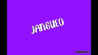 JANGUEO REMIX [upl. by Ecnerol]