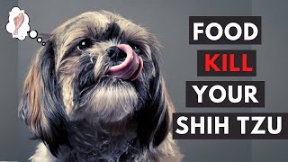 15 Foods Your Shih Tzu Should Never Eat [upl. by Artkele795]