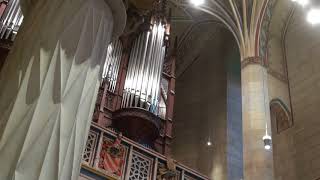 Castle Church Wittenberg  Organ Recessional [upl. by Ettener]