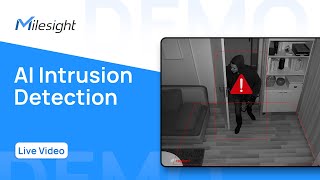 Milesight Demo AI Intrusion Detection [upl. by Udela]