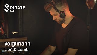 Voigtmann  The Lion amp Lamb  Pirate Live [upl. by Jsandye]