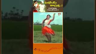 పిల్లోయ్ జాగ్రత్త Pilloy Jagratha Song  ANR Vanisri Datta Putrudu Movie shorts youtubeshorts [upl. by Ardnaxela]