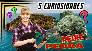 5 curiosidades interessantes sobre o Peixepedra Você não pode perder [upl. by Nonnair227]