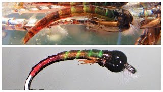 TSP  Tony Stark Pupa Chironomid Fly [upl. by Mikeb]