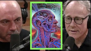 Joe Rogan  Ayahuasca is Amazonian Science wGraham Hancock [upl. by Harewood782]