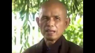 Thich Nhat Hanh on mindfulness and happiness transcript and CC [upl. by Frager1]