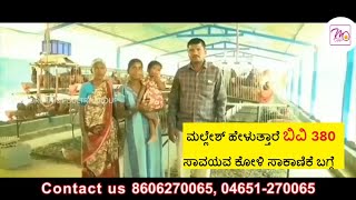 BV380 in Karnataka  business ideas in Kannada  Hi tech organic farming  Nest organic  M eggs [upl. by Breen864]