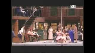 LELISIR DAMORE  GAETANO DONIZETTI  2005 [upl. by Norrv]