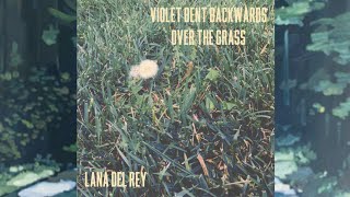 Violet Bent Backwards Over The Grass Album Teaser — Lana Del Rey [upl. by Sanoj142]