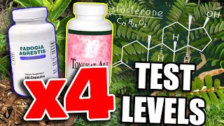 3 Supplements To NATURALLY increase TESTOSTERONE For The Summer  Andrew Huberman amp Joe Rogan [upl. by Natsirhc]